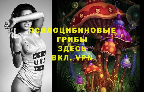 гашик Алексеевка