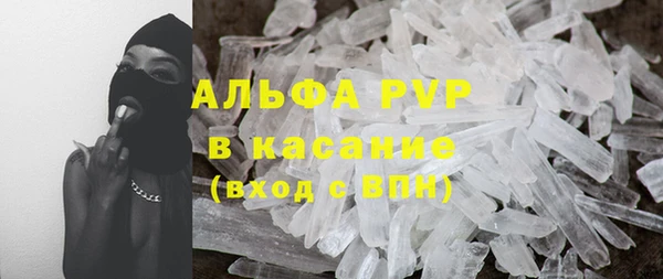 сатива Алзамай