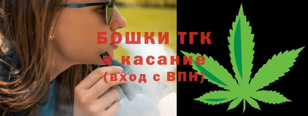 сатива Алзамай