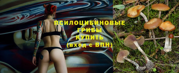 сатива Алзамай