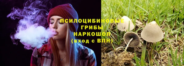 шишки Абинск