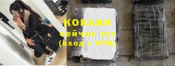 шишки Абинск