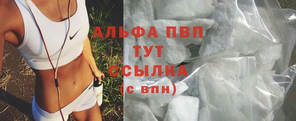 гашик Алексеевка
