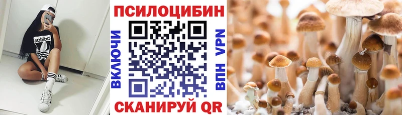 наркотики  Сатка  Галлюциногенные грибы мицелий 
